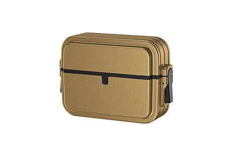 Newface Airpods 3 (3.nesil) 404 Kilitli Kılıf - Gold