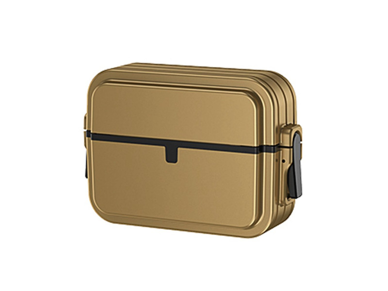 Newface Airpods Pro 2 (2.nesil) 404 Kilitli Kılıf - Gold