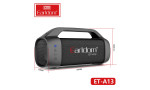 Earldom A13 Radyolu Bluetooth Kablosuz Hoparlör - Siyah