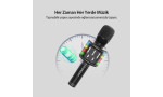 Earldom MC2 Led Işıklı Karaoke Mikrofon - Siyah
