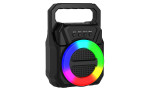 Newface ABS-1309 RGB FM Kablosuz Hoparlör - Siyah