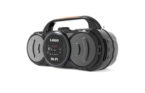 Newface ABS-4202 Kumandalı RGB FM Kablosuz Hoparlör - Siyah