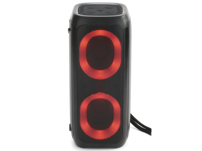 Newface TG333 RGB Kablosuz Hoparlör - Siyah