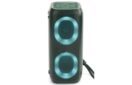 Newface TG333 RGB Kablosuz Hoparlör - Yeşil
