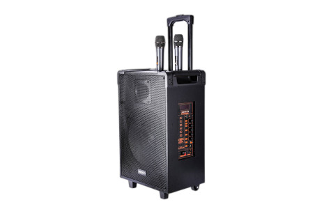 Yesido YSW15 2 Adet Mikrofonlu 8inch 210mm Sürücülü 3000 mAh Bataryalı Kablosuz Hoparlör - Siyah
