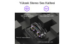 Yesido YSW19 2 Adet 20W Dahili Hoparlörlü 3000 mAh Bataryalı BT 5.0 RGB Kablosuz Hoparlör - Siyah