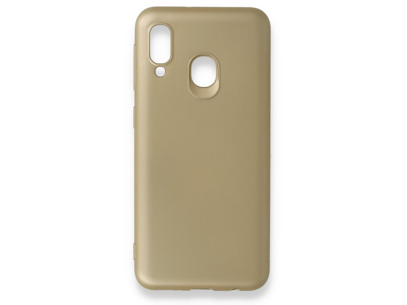 Newface Samsung Galaxy A20E Kılıf First Silikon - Gold