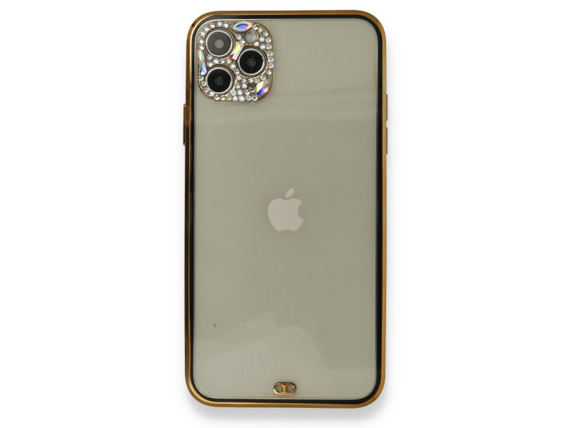 Newface iPhone 11 Pro Kılıf Liva Taşlı Silikon - Siyah