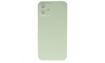 Newface iPhone 12 Kılıf 360 Mat Full Body Silikon Kapak - Açık Yeşil
